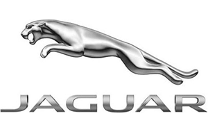 Best Advertising Agency in Ahmedabad - Jaguar Logo
